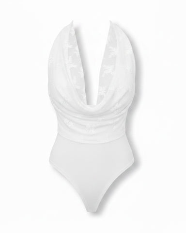 Body Aurelia